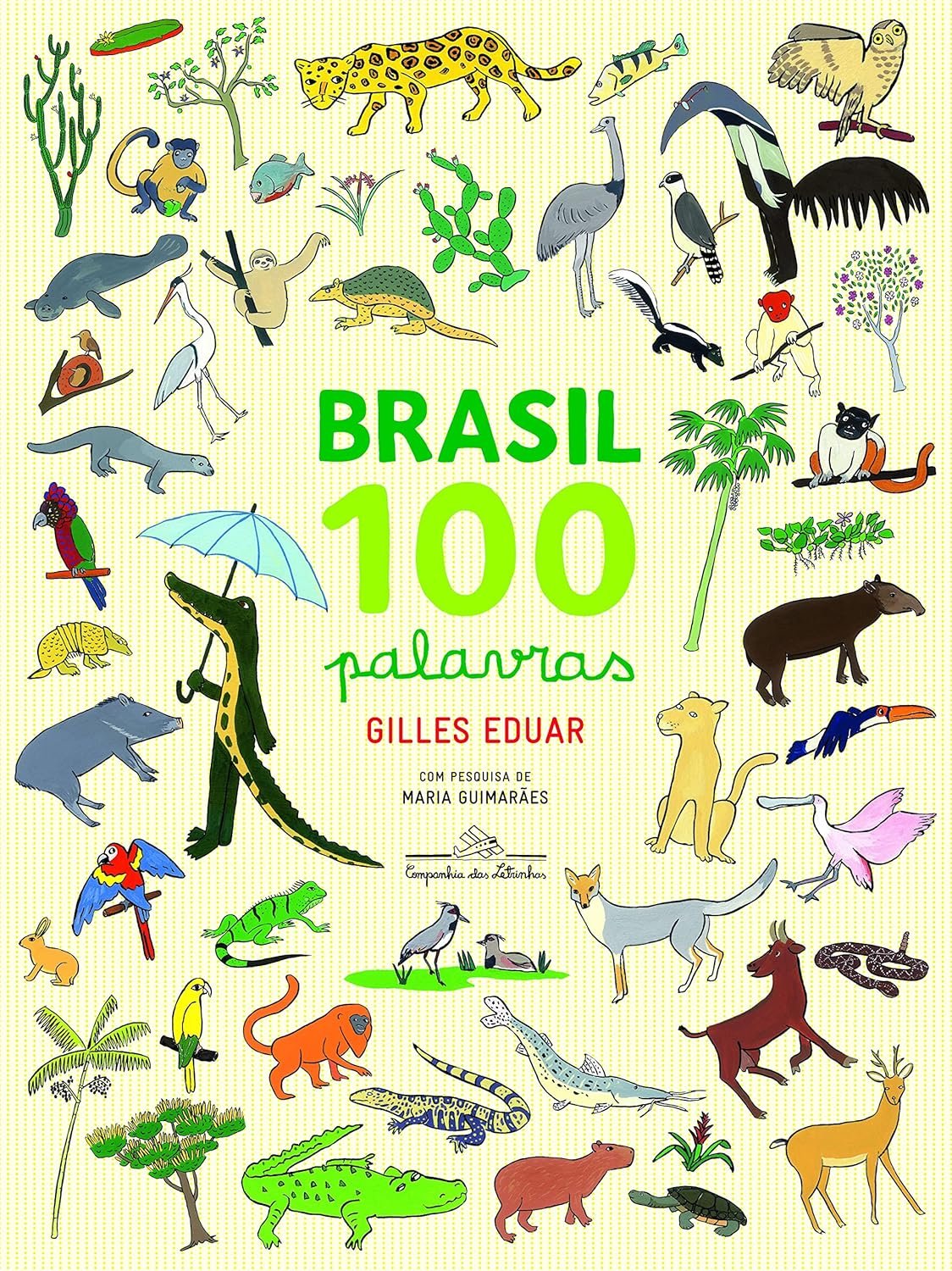 Brasil 100 palavras – Livro Resumo