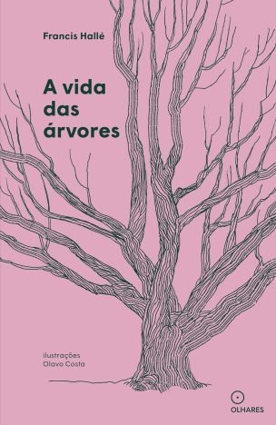 A vida das árvores