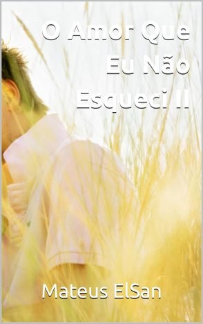 O Amor Que Eu Não Esqueci II (O Amor - Renan e Davi Livro 2)