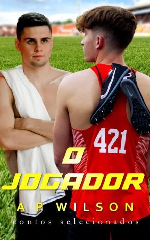 O Jogador (Contos Gays No Sigilo Livro 2)