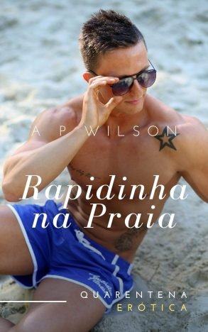 Rapidinha na Praia [Conto Erótico] (Contos Gays No Sigilo Livro 3)